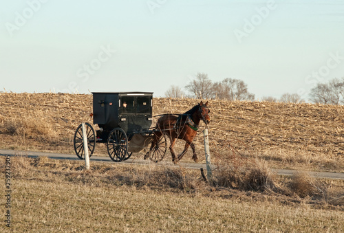 Fototapeta Naklejka Na Ścianę i Meble -  Amish Buggy Rural Road