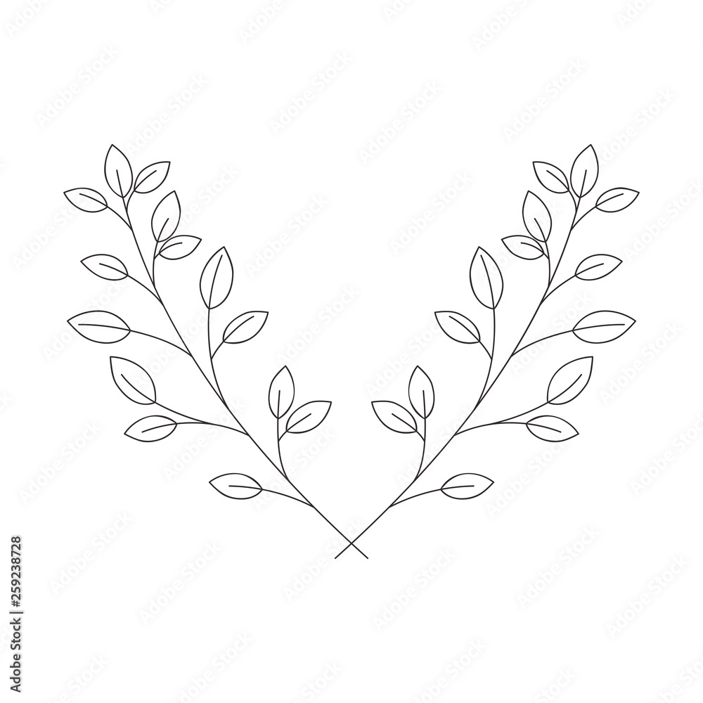 Fototapeta premium branch with leaves isolated icon