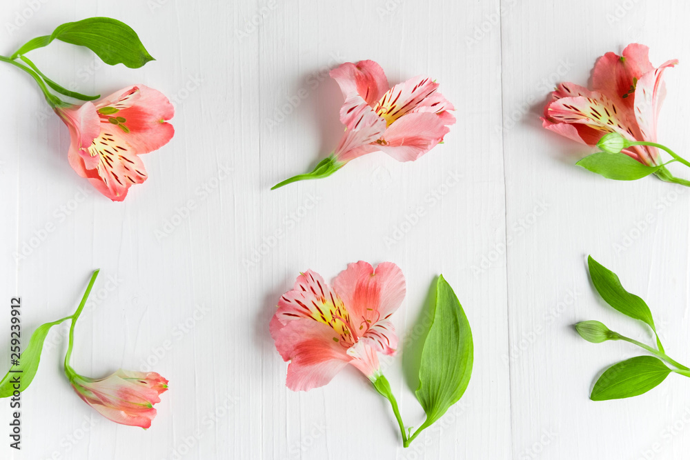 Pattern with pink flowers on a white background. Alstroemeria flowers on a gray background. Background for greeting card, banner, blog. Alstomerias live flowers. View from above Pattern with pink flowers on a white background. Alstroemeria flowers on a gray background. Background for greeting card, banner, blog. Alstomerias live flowers. View from above