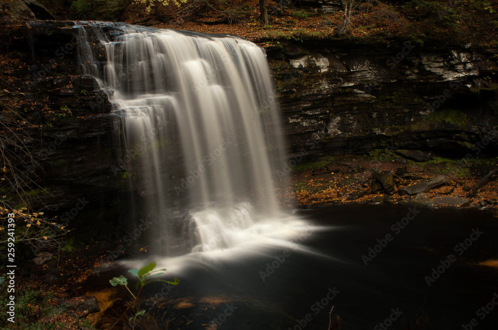 Obraz premium Ricketts Glen State Park