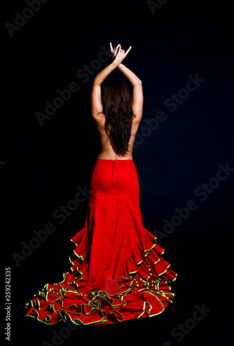 Bailaora flamenco photo