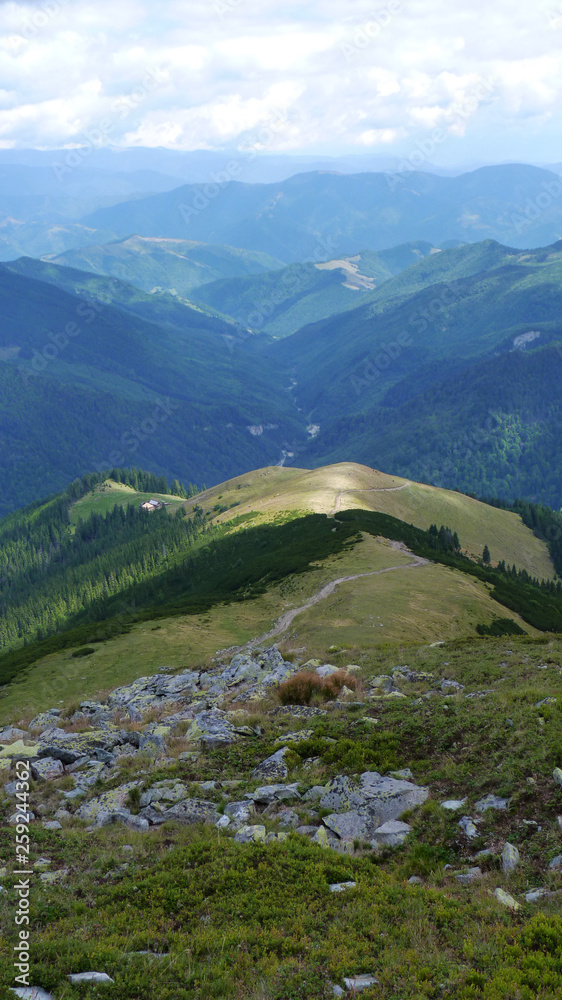 Wildlife at high altitude hidden in the depths of the mountains