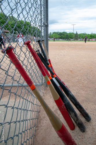 Photography baseball bats