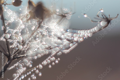 Close-up of abstract drops on a spider web with variable focus and blurred background in the rays of the rising sun. Blur and soft focus. photo