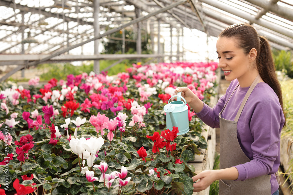 Young woman watering flowers in greenhouse. Home gardening