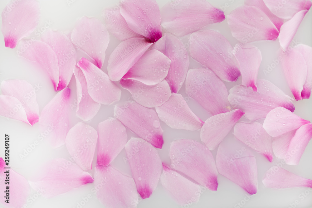 Spa treatment with flowers Spa treatment with flowers
