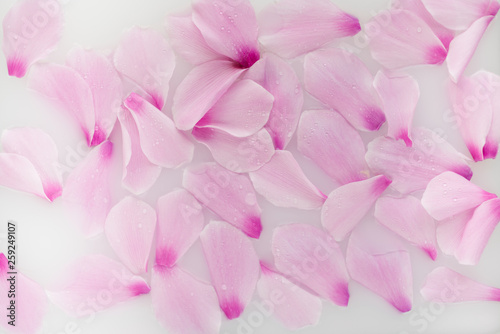 Spa treatment with flowers