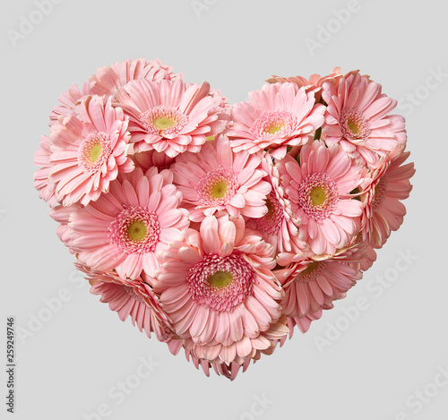 Bouquet of pink transvaal daisy in shape of heart