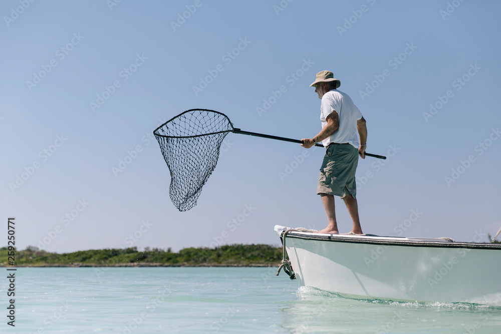 Volunteer Sea Turtle Tagging Expedition Stock Photo Adobe Stock