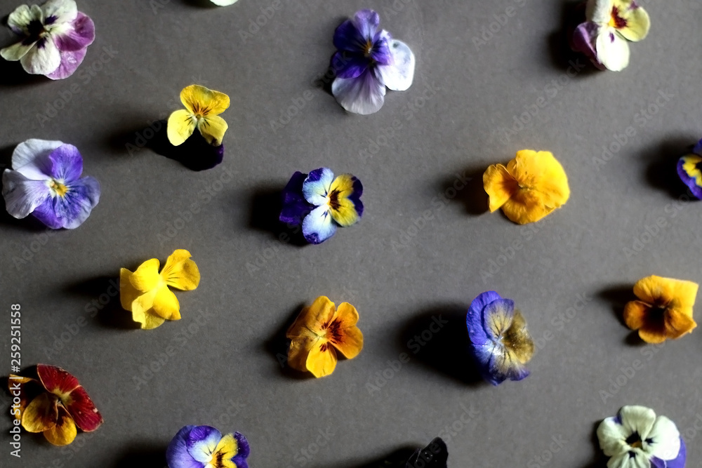 Arrangement of edible flowers on grey background. Top view, selective focus. Arrangement of edible flowers on grey background. Top view, selective focus.