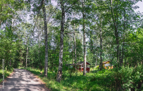 Summer rural landscape of the suburbs of Helsinki, Finland. Traditional wooden cabins at the forest.