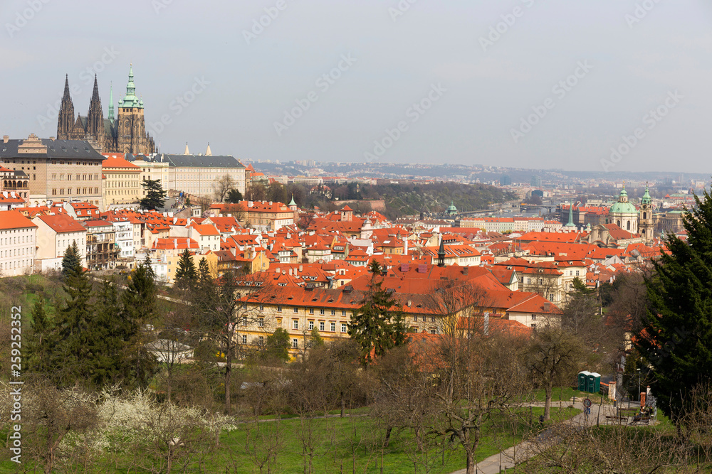 Early spring Prague City with gothic Castle and the green Nature and flowering Trees, Czech Republic