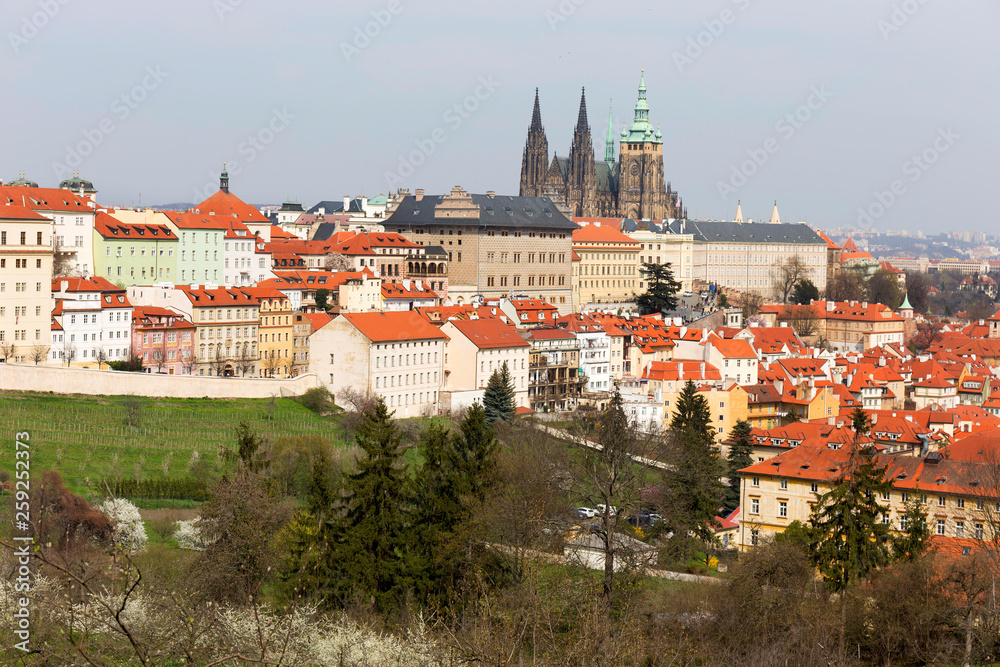 Early spring Prague City with gothic Castle and the green Nature and flowering Trees, Czech Republic Early spring Prague City with gothic Castle and the green Nature and flowering Trees, Czech Republic