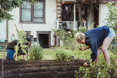 Urban Gardening photo