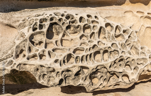 Canvas Print Sydney, Australia - February 11, 2019: Closeup of Spectacular rock outcrop at Bronte Beach South cliffs, made by erosion