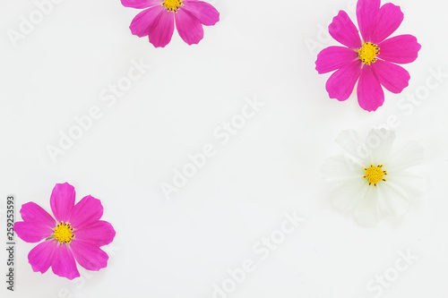 Fototapeta Naklejka Na Ścianę i Meble -  Frame from flower in pastel colors