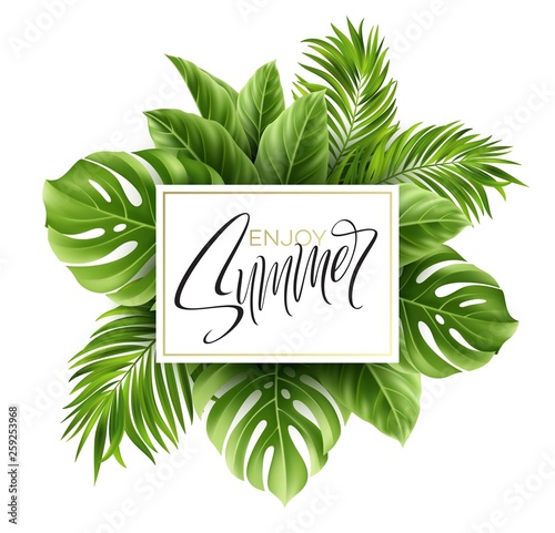 Summer poster with tropical palm leaf and handwriting lettering. Vector illustration