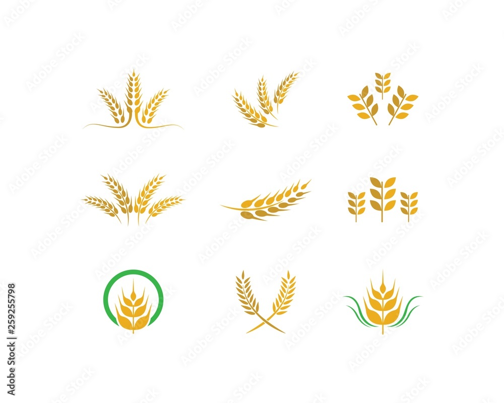 Wheat vector icon illustration Wheat vector icon illustration