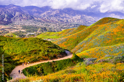 Walking trail in Walker Canyon during the superbloom, California poppies covering the mountain valleys and ridges, Lake Elsinore, south California photo