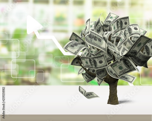 Money tree.