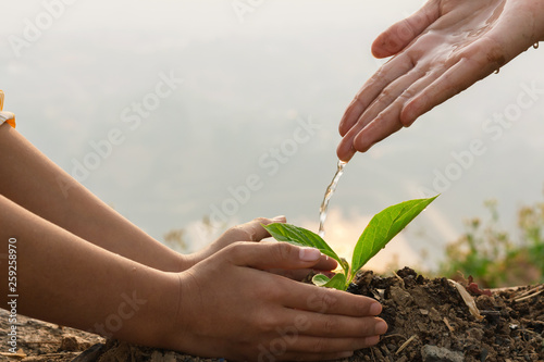 Photos Hand nurturing and watering young baby plants growing in germination sequence on