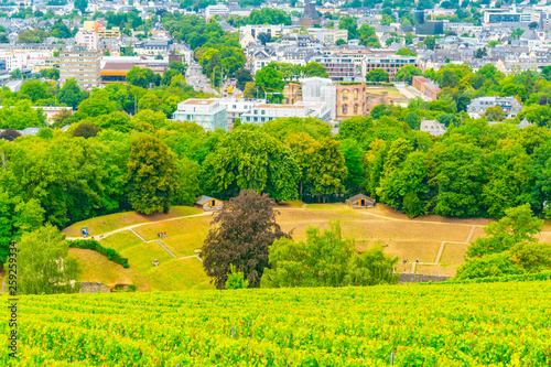 Vineyards, Roman amphitheater and Kaiserthermen in Trier, Germany photo