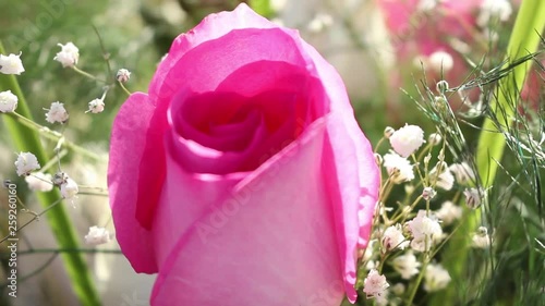 Rosa Matrimonio Floral