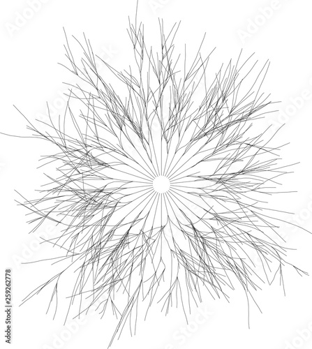 Organic Radial  Burst of Lines Rays Elements Circular