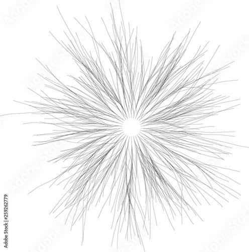 Organic Radial  Burst of Lines Rays Elements Circular