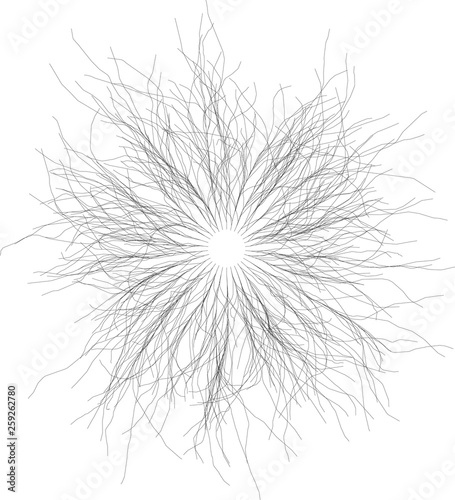 Organic Radial  Burst of Lines Rays Elements Circular