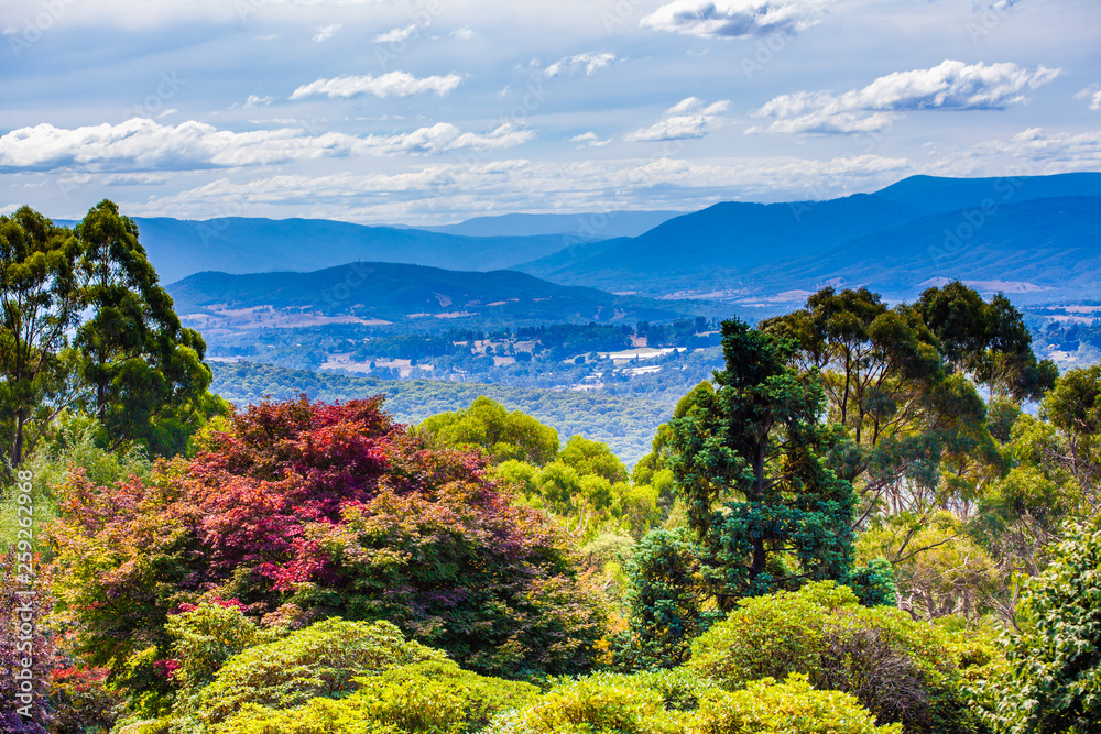 Beautiful autumn foliage and mountains in the background viewed from National Rhododendron Gardens in Melbourne, Australia