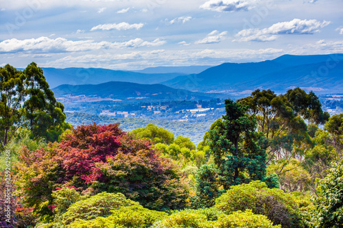 Beautiful autumn foliage and mountains in the background viewed from National Rhododendron Gardens in Melbourne, Australia photo