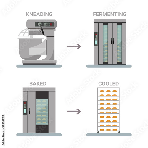 Bread processing process flow. Bakery machinery