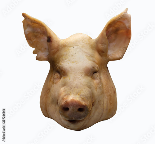 Boiled boiled pork head In the festival of Chinese people, white backdrop