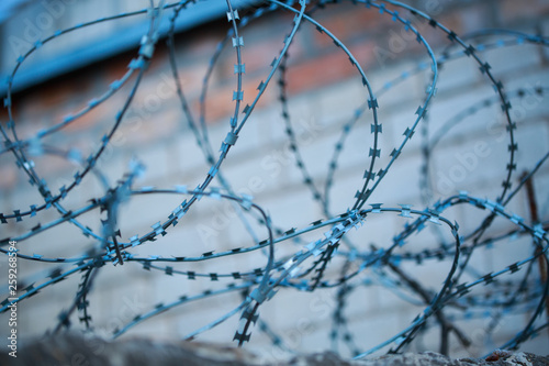 Barbed wire. Protective fencing area. Guarded territory. Could be used as background for design. Free space for inscriptions.
