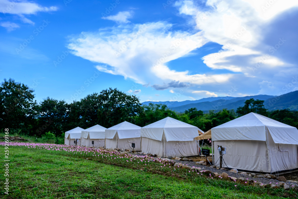 Tents for camping with beautiful landscape,in Suanpung Thaailand.