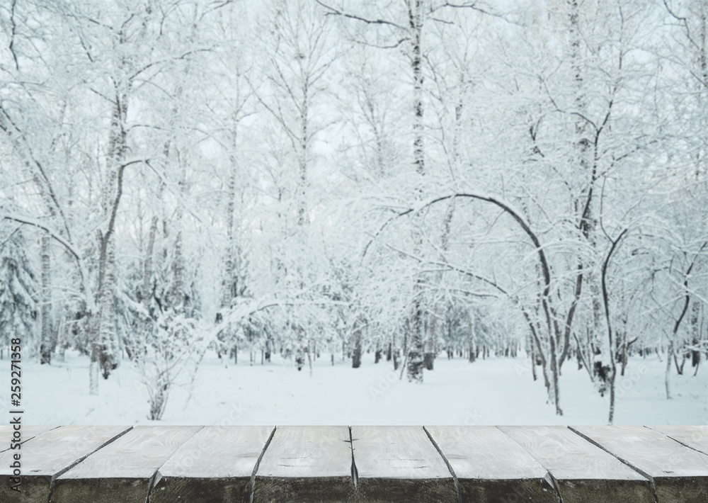 frozen woods frozen woods
