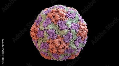 Hepatitis A Capsid based on PDB : 4QPI, 360 degree rotation loop