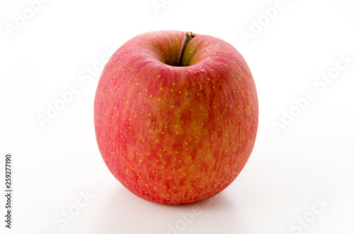 りんご（サンふじ） © kariphoto