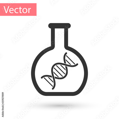 Grey DNA research, search icon isolated on white background. Genetic engineering, genetics testing, cloning, paternity testing. Vector Illustration