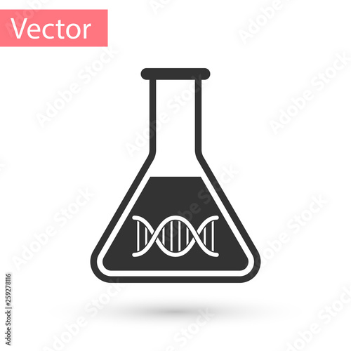 Grey DNA research, search icon isolated on white background. Genetic engineering, genetics testing, cloning, paternity testing. Vector Illustration