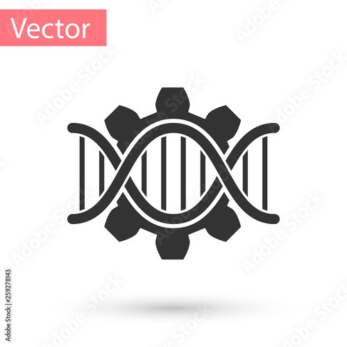 Grey Genetic engineering icon isolated on white background. DNA analysis, genetics testing, cloning, paternity testing. Vector Illustration