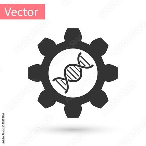 Grey Genetic engineering icon isolated on white background. DNA analysis, genetics testing, cloning, paternity testing. Vector Illustration