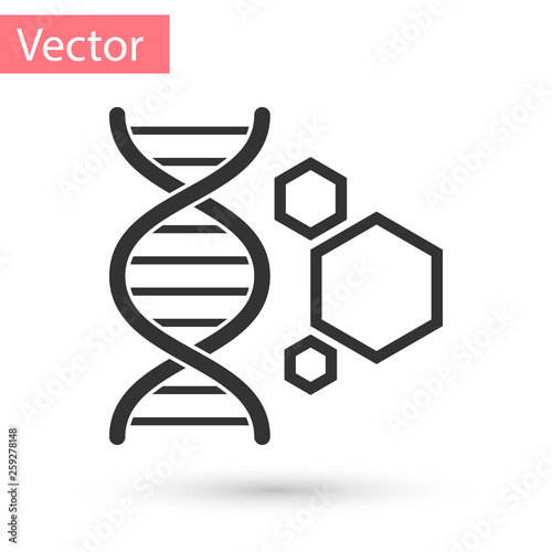 Grey Genetic engineering icon isolated on white background. DNA analysis, genetics testing, cloning, paternity testing. Vector Illustration