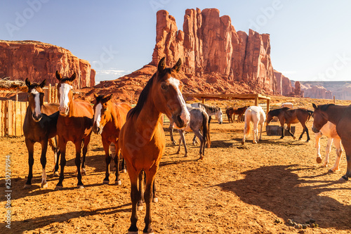 Monument Valley, Utah. Horses in Pen, Camel Butte and Elephant Butte Rock in Background