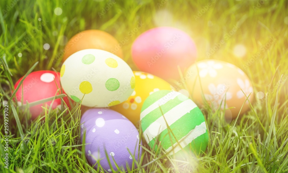 Easter colorful eggs on green grass Easter colorful eggs on green grass