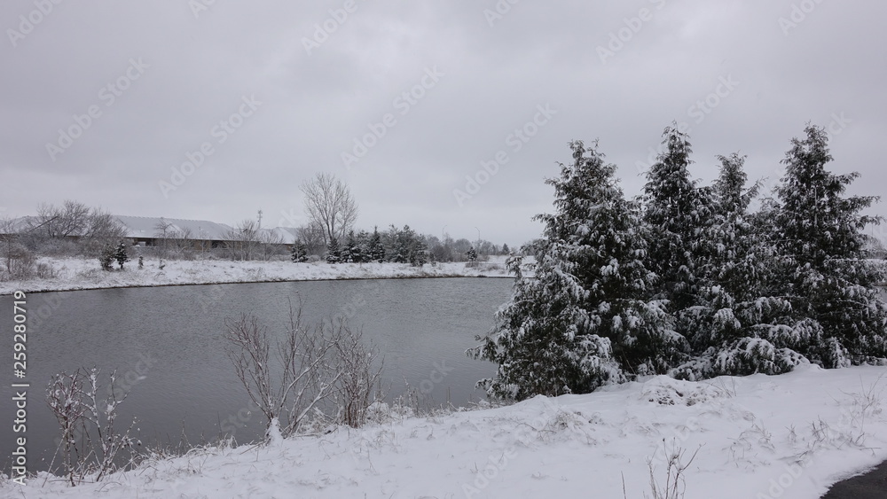 Pine Trees By Lake Houses In Winter Christmas Time Pine Trees By Lake Houses In Winter Christmas Time