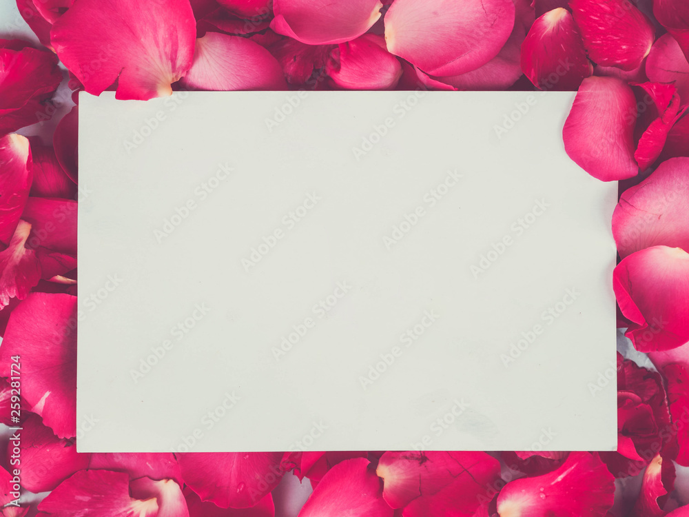 Fototapeta premium White paper postcard over rose flowers with space for text or image.