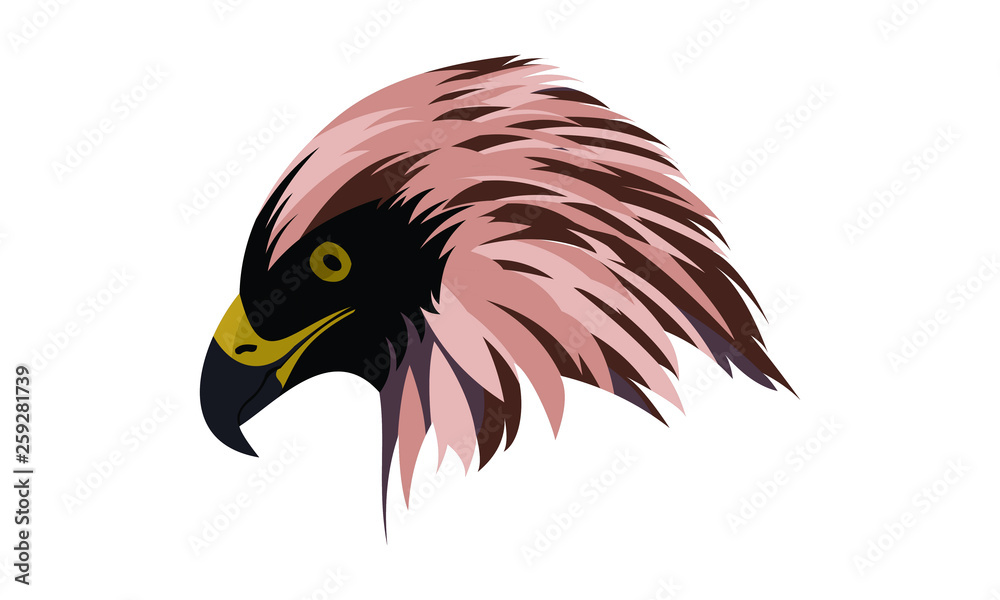 Fototapeta premium eagle head with originals colors