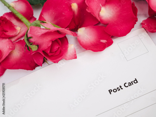 White paper postcard over rose flowers with space for text or image.